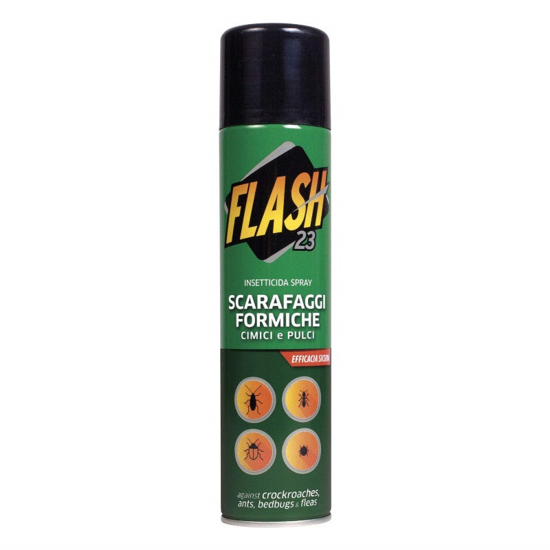 Flash gândaci & furnici